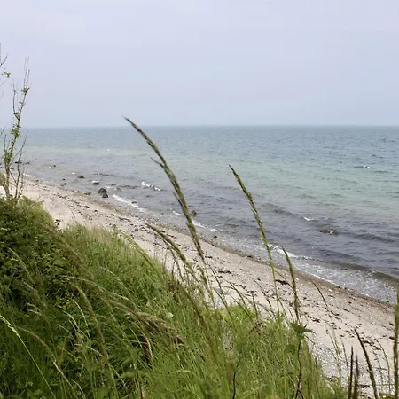 Modernes-ferienhaus-mit-meerblick-in-strandnaehe 度假居 *